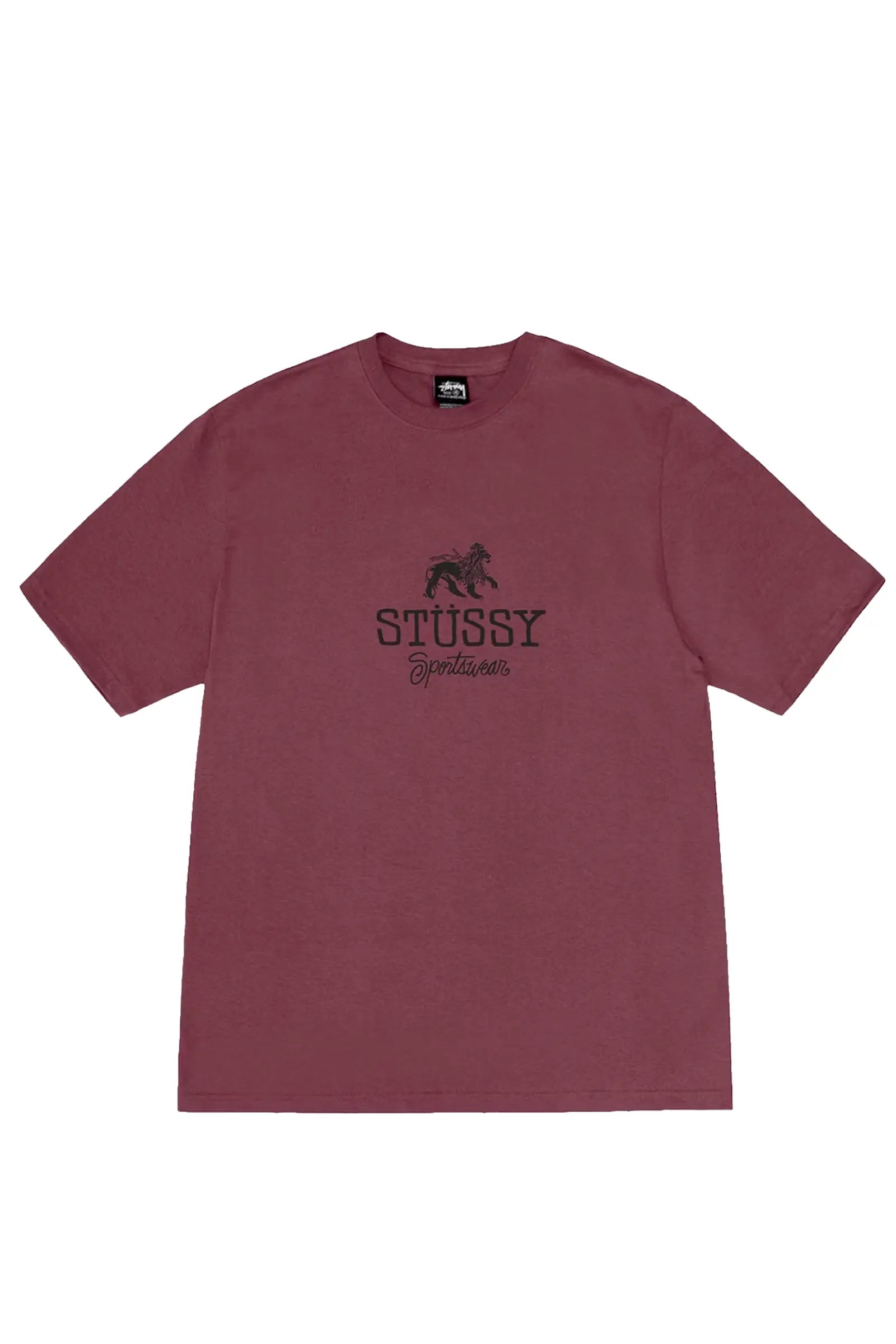 polera-stussy-SPORT-cleste